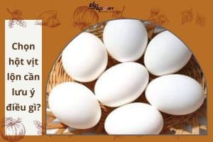 Trứng vịt lộn luộc bao lâu thì chín? Mẹo luộc trứng đơn giản